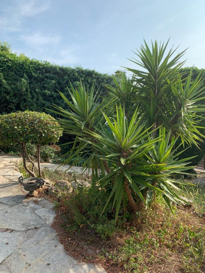 Villa Soledad Cassis Exterior foto